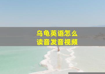 乌龟英语怎么读音发音视频