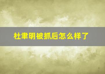 杜聿明被抓后怎么样了