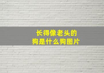 长得像老头的狗是什么狗图片